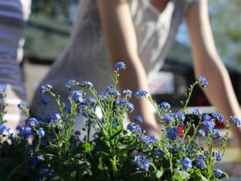 A Smarter Way to Garden and Do Yardwork