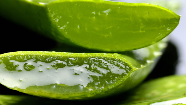 Is Aloe Everything It’s Made Out to Be?